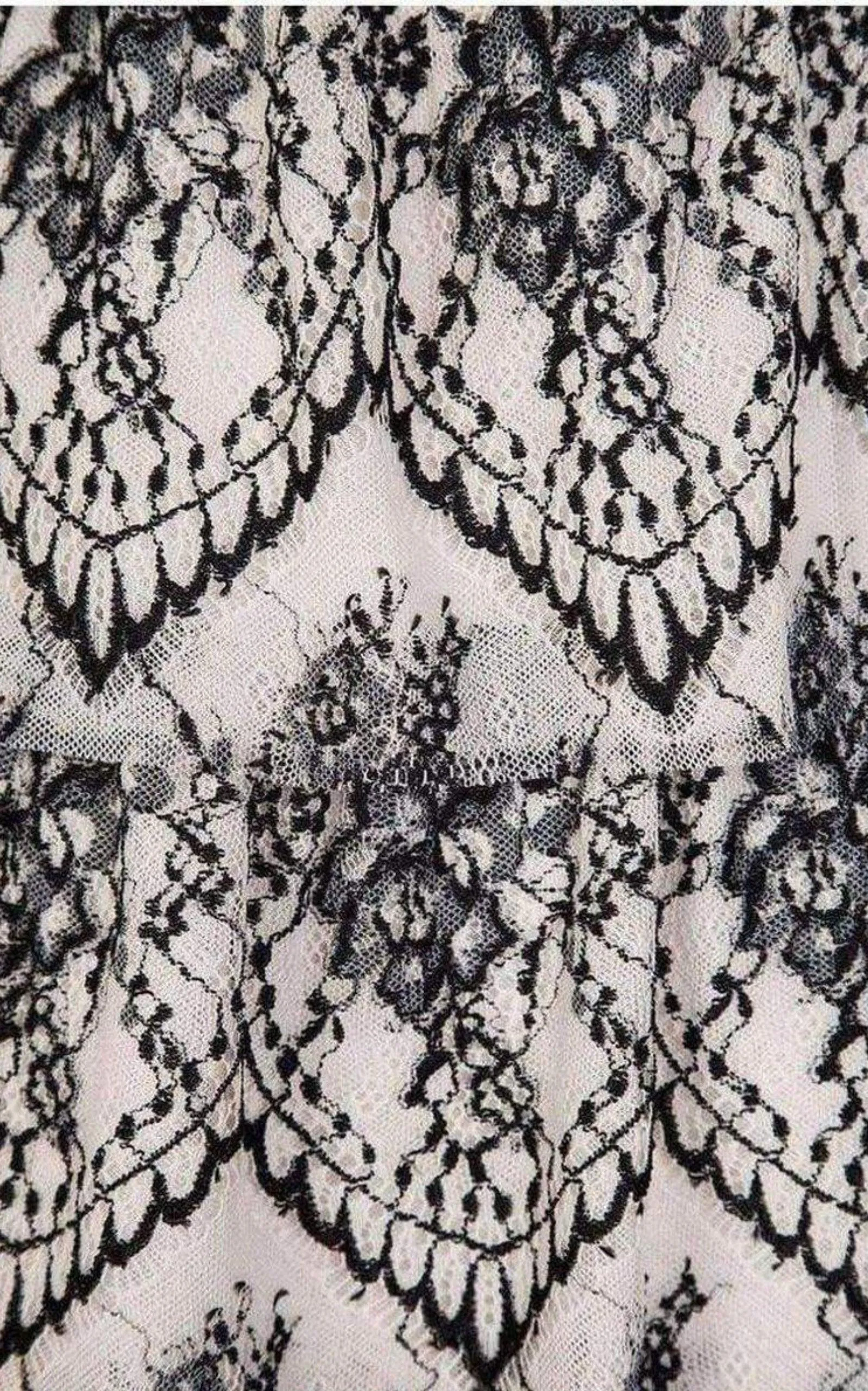 Sleeveless Scalloped Lace Dress
