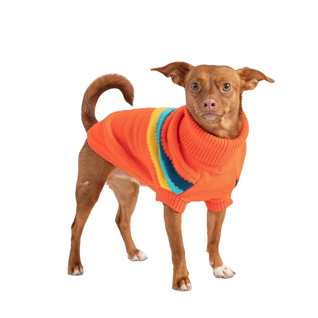 Stylish Alpine Dog Sweater - Orange Turtleneck Pet Apparel